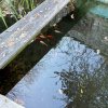 11 b Rund um Ellwangen